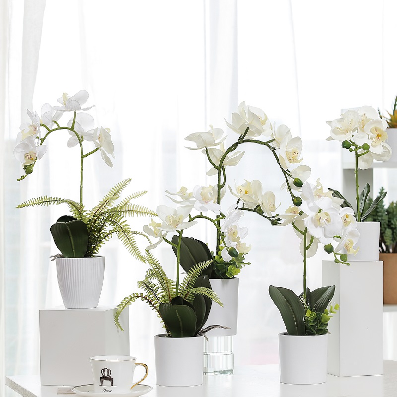 Горещ продава реално докосване изкуствена изкуствена орхидея